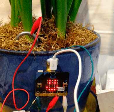 semana de la ciencia y la tecnologia