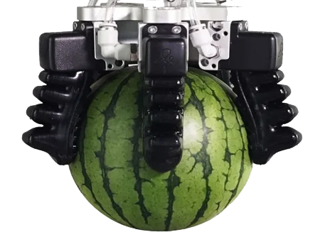 ROCHU